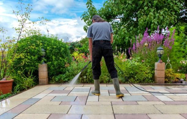 Best Roof Washing  in Dover Plains, NY